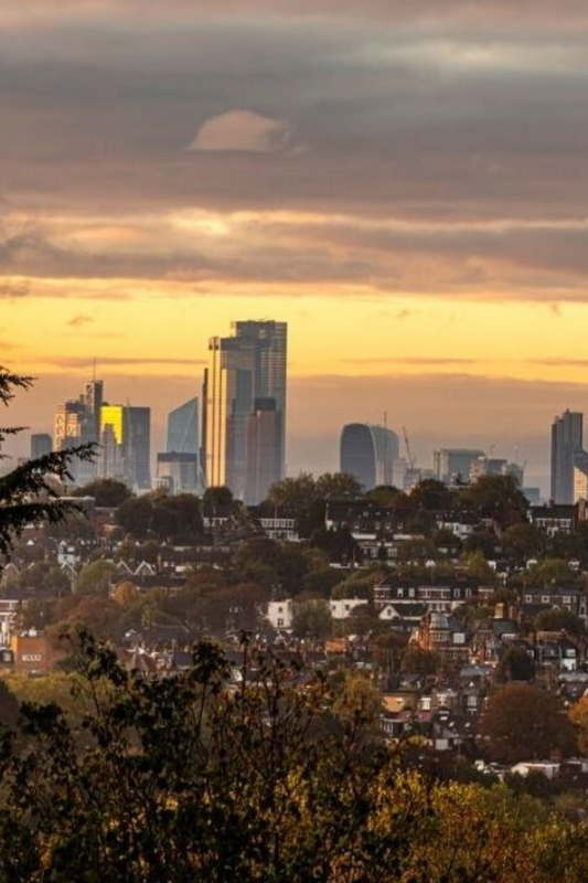 London Walk #5: Hampstead to Alexandra Palace