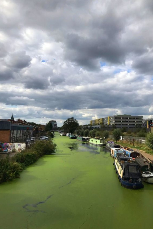 London Walk #7: Stratford to Hackney Wick